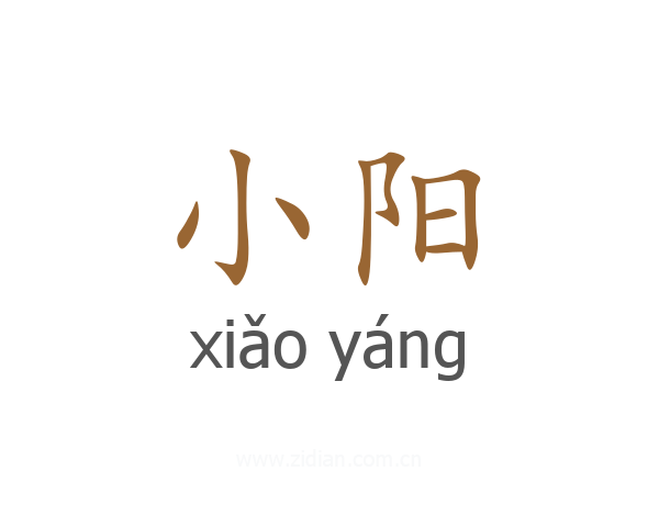 小阳