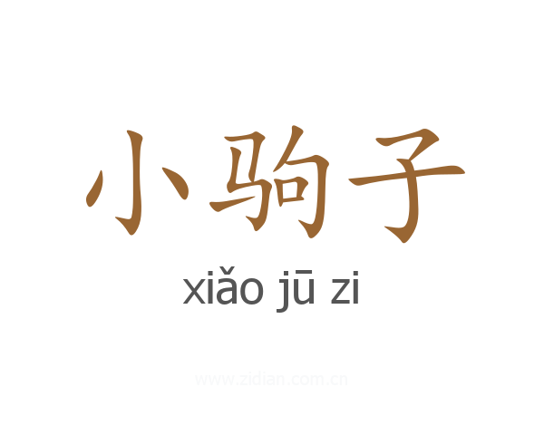 小驹子
