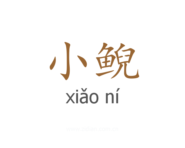 小鲵