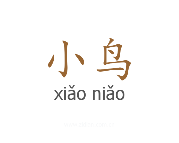 小鸟