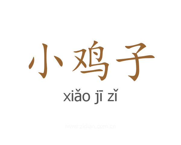 小鸡子