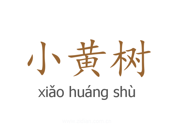 小黄树