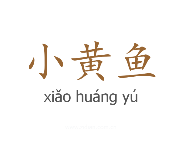 小黄鱼
