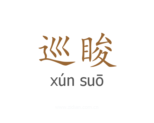 巡睃