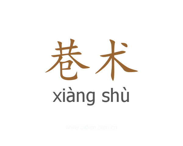 巷术