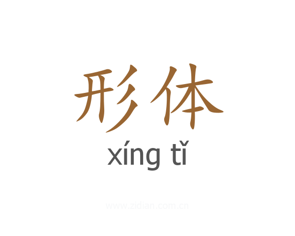 形体