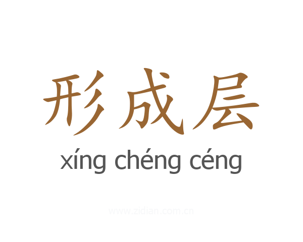 形成层