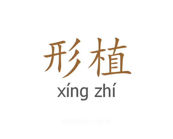 形植