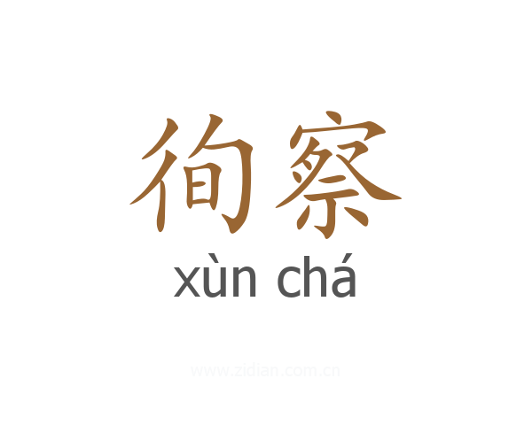 徇察