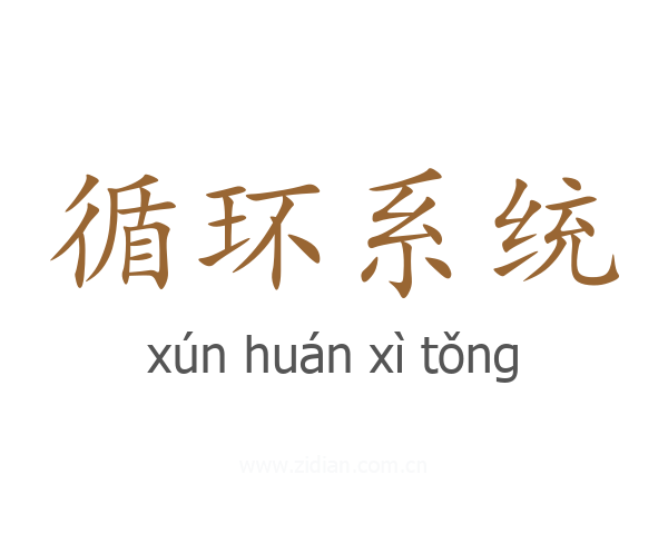 循环系统