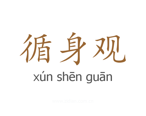 循身观