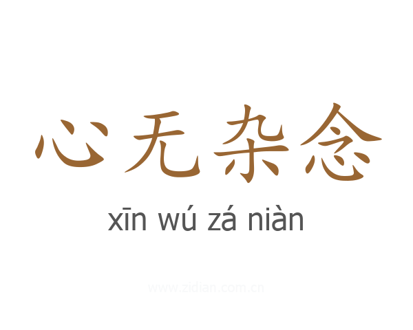 心无杂念