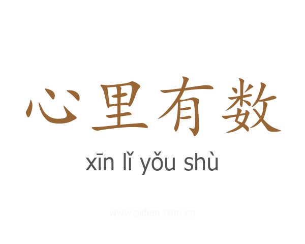 心里有数