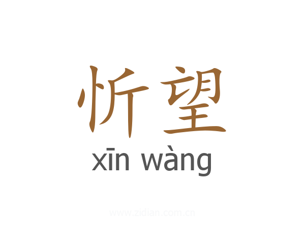 忻望