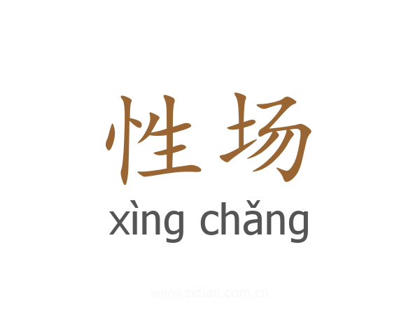 性场