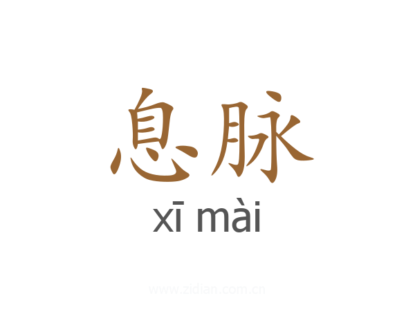 息脉