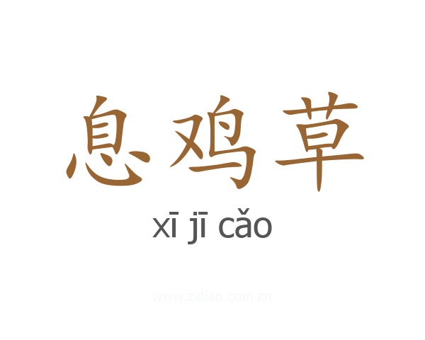 息鸡草