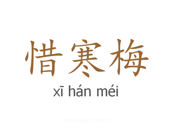 惜寒梅
