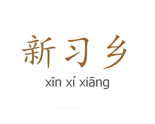 新习乡