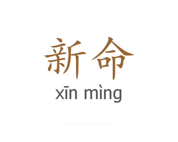 新命