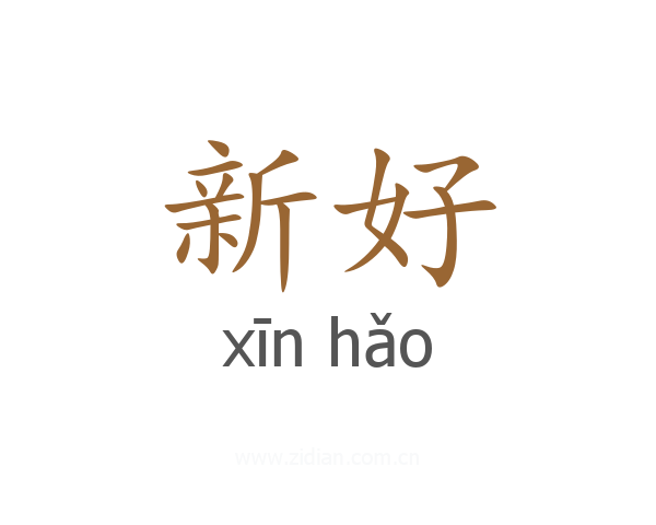 新好