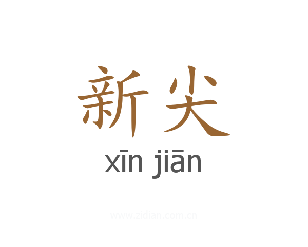 新尖