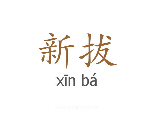 新拔