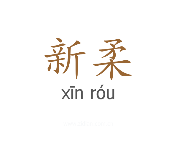 新柔