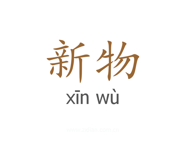 新物