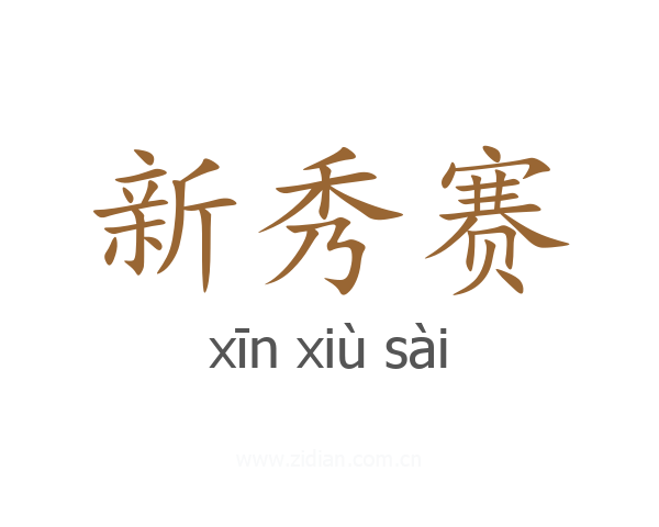 新秀赛