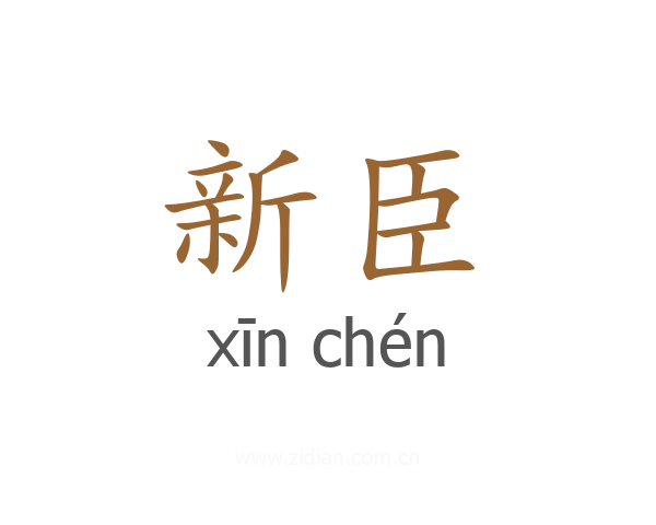 新臣