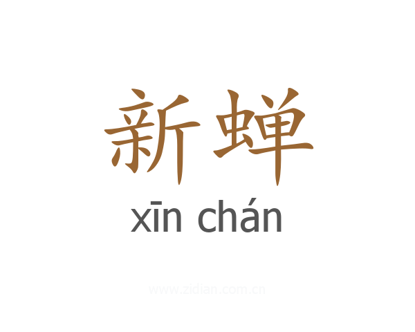 新蝉