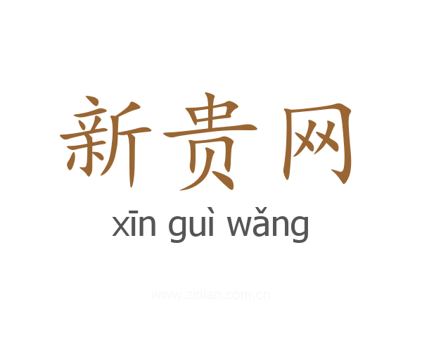 新贵网