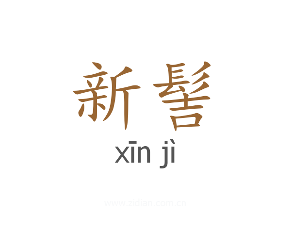 新髻