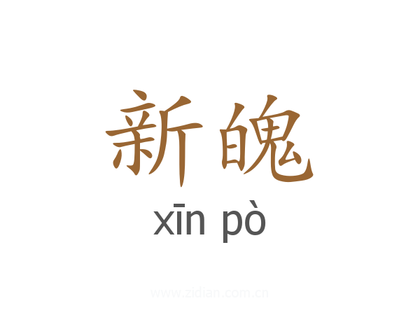 新魄