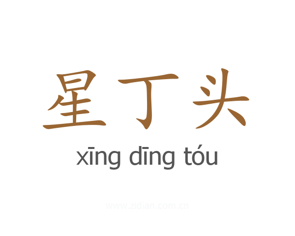 星丁头