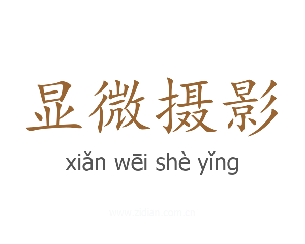 显微摄影