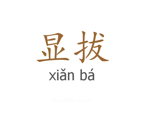 显拔