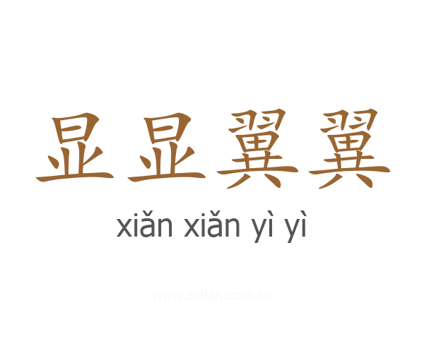 显显翼翼