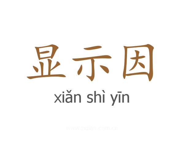 显示因