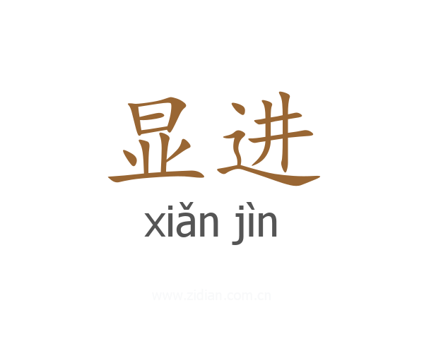 显进