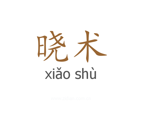 晓术