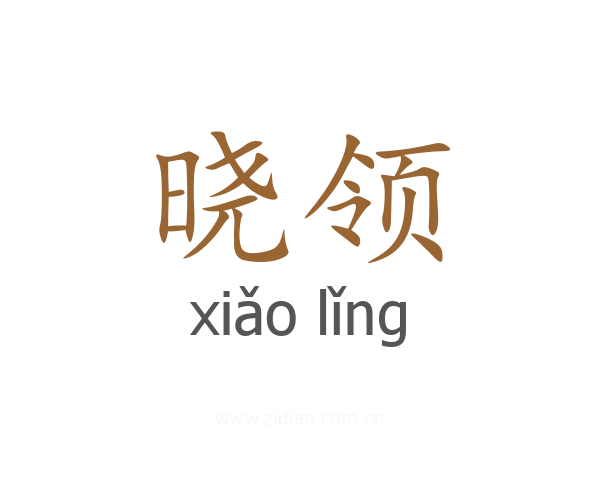 晓领