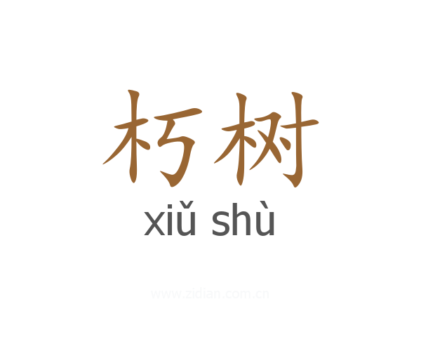 朽树