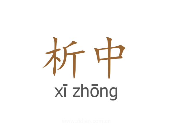 析中