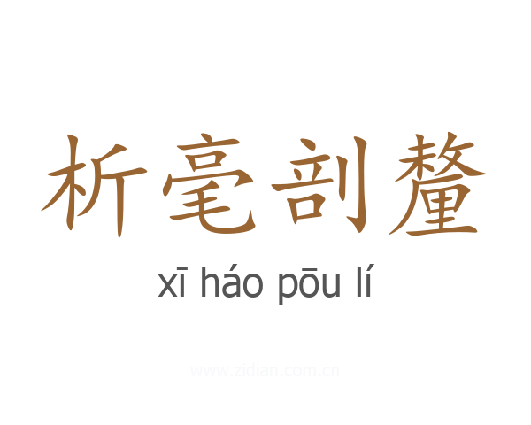 析毫剖釐