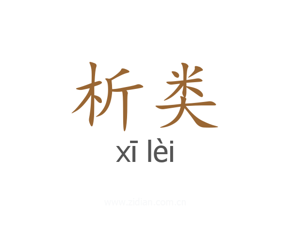 析类