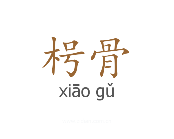 枵骨