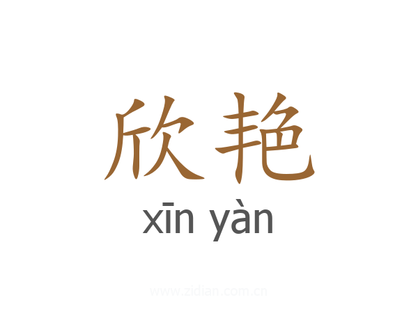 欣艳