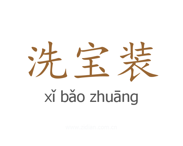 洗宝装